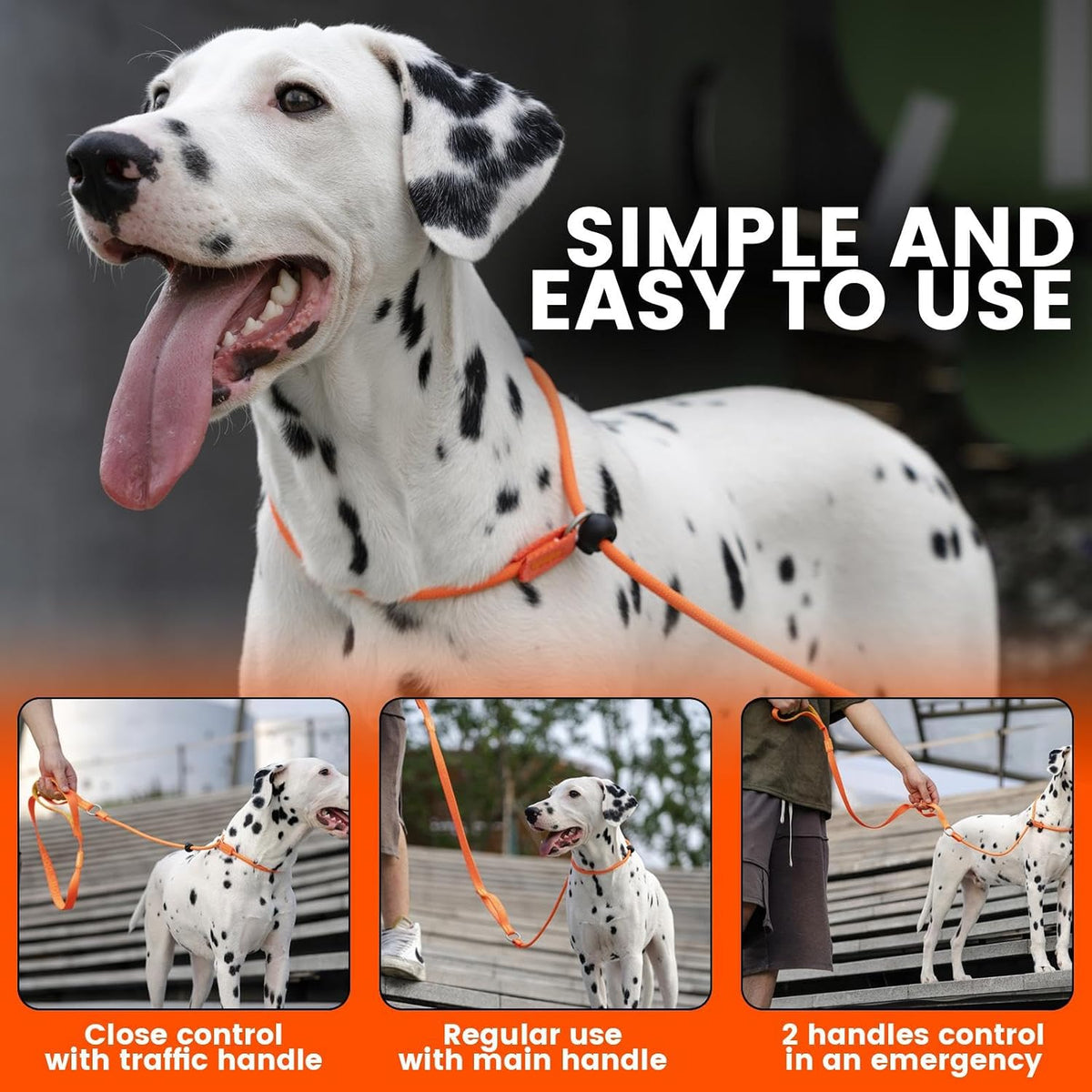 HowGo Slip Lead Dog Leash with 2 Spring-Loaded Stoppers (Black 5.0FT)