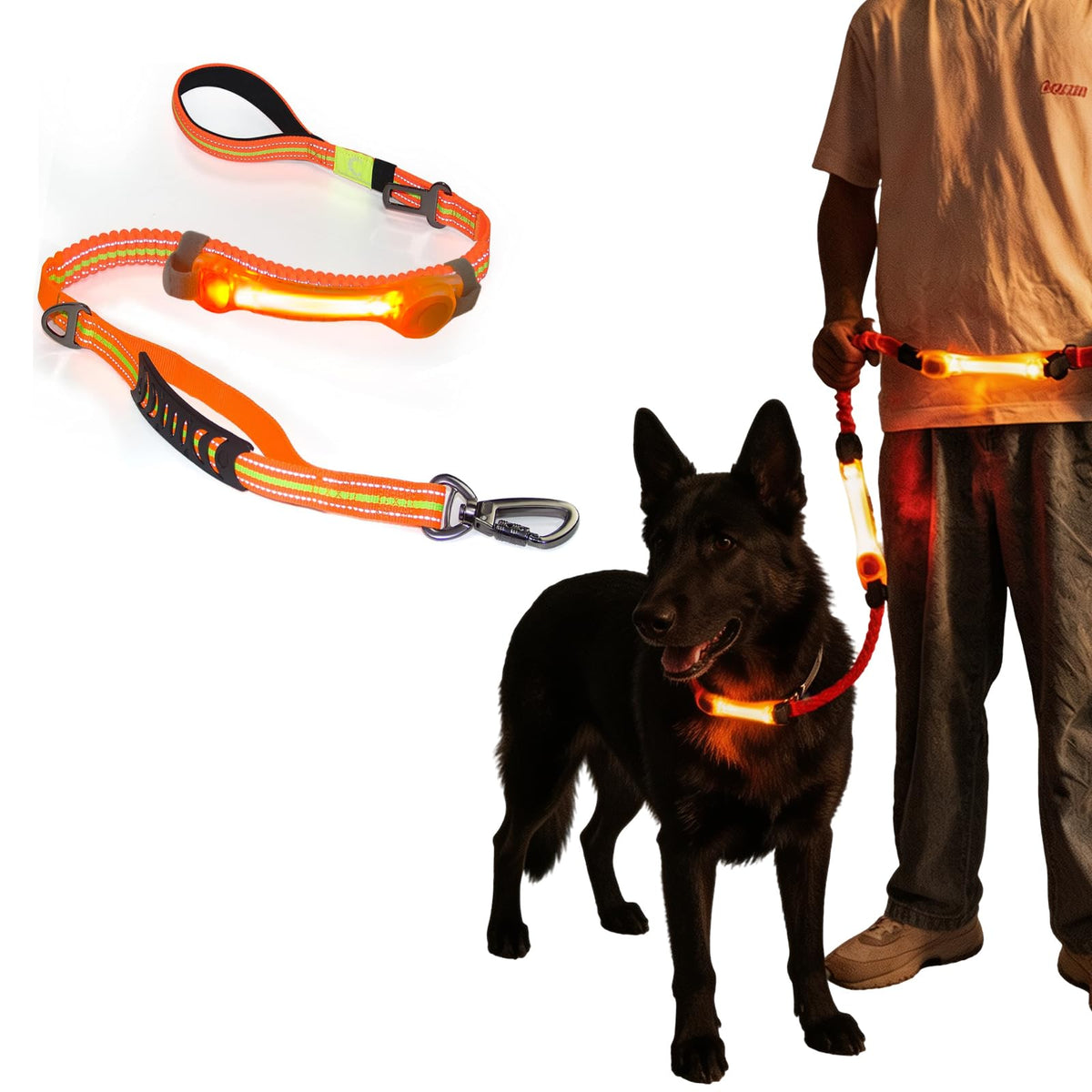 Heavy Duty Bungee Dog Leash with Locking Carabiner for Large Dogs