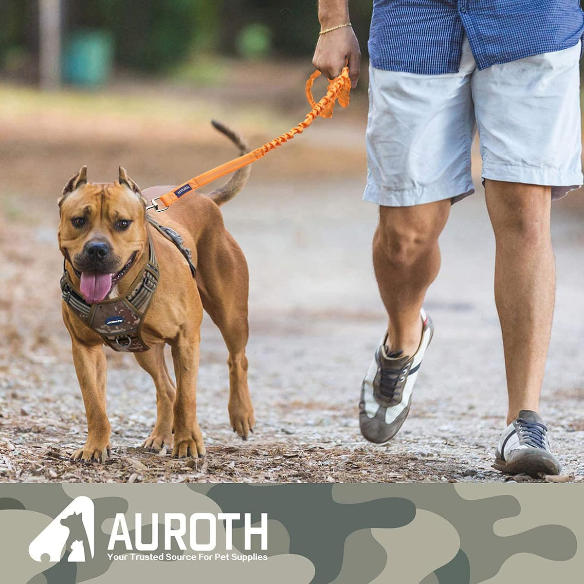 AUROTH Bungee Dog Leash for Large Dogs, No Pull for Shock Absorption