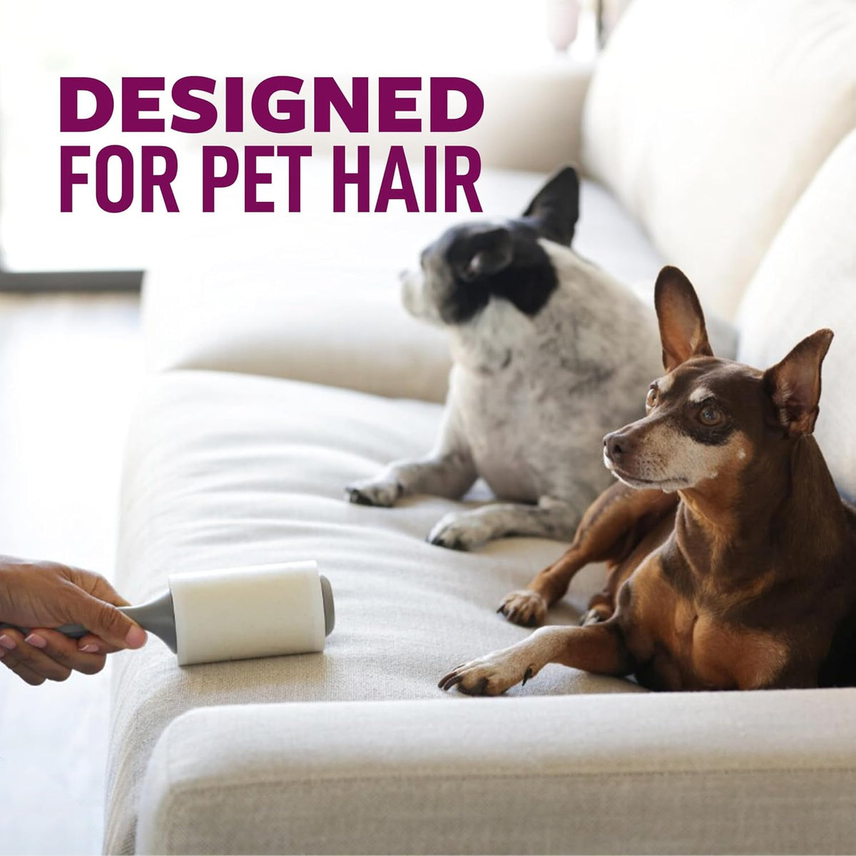 Scotch-Brite Pet Hair Pickup Extra Sticky Lint Roller with Handle, 50% Stickier, Fur and Fluff Remover for Clothes Furniture Couches Car Seats, 4 in x 54.9 ft, 2 Pack, 200 Easy-Tear Sheets