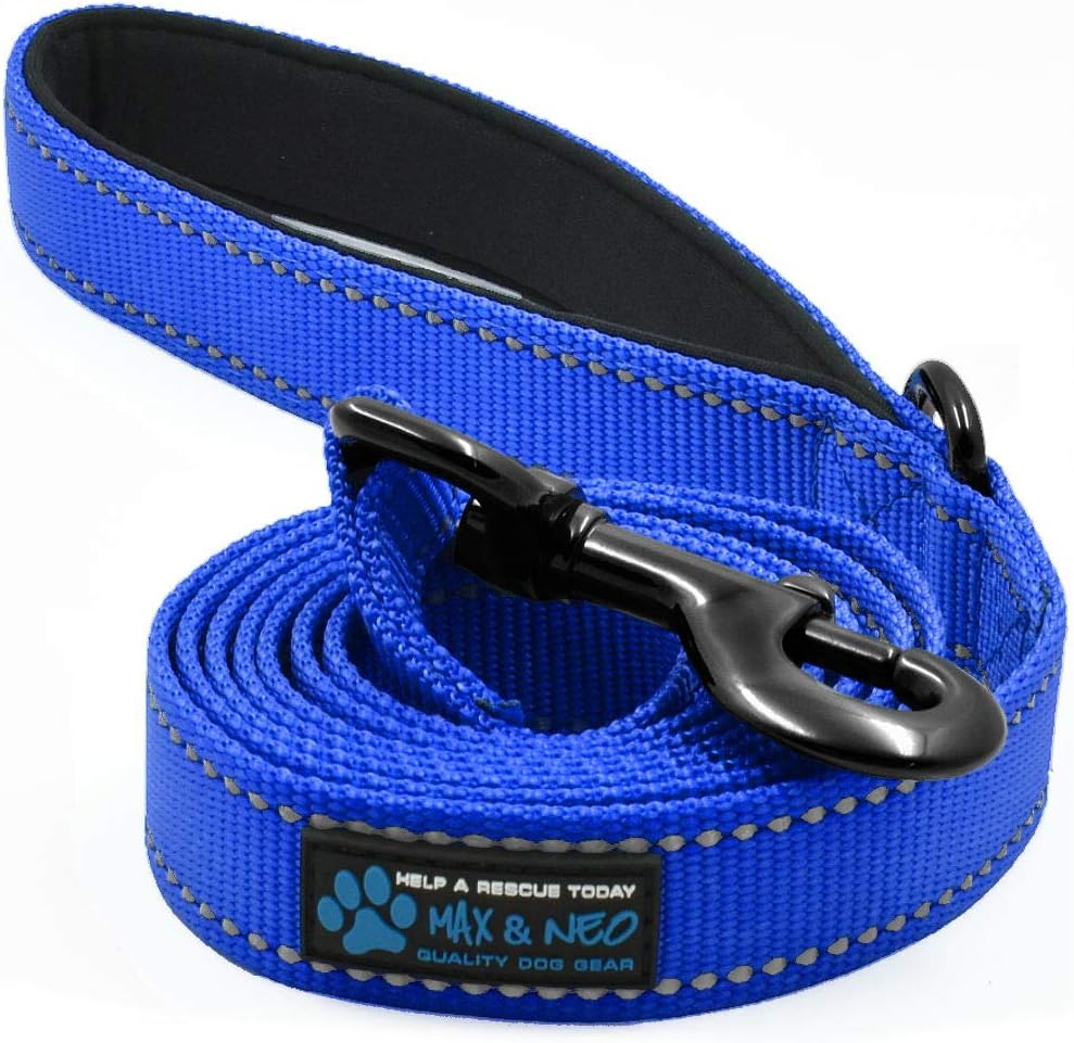 Max and Neo Reflective Nylon Dog Leash - We Donate a Leash to a Dog Rescue for Every One Sold (Teal, 6x1)