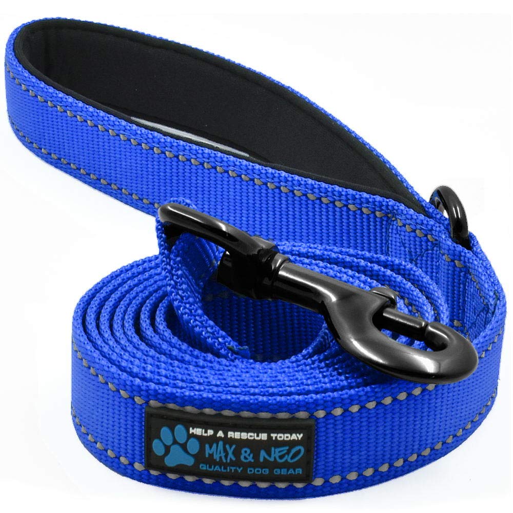 Max and Neo Reflective Nylon Dog Leash - We Donate a Leash to a Dog Rescue for Every One Sold (Teal, 6x1)