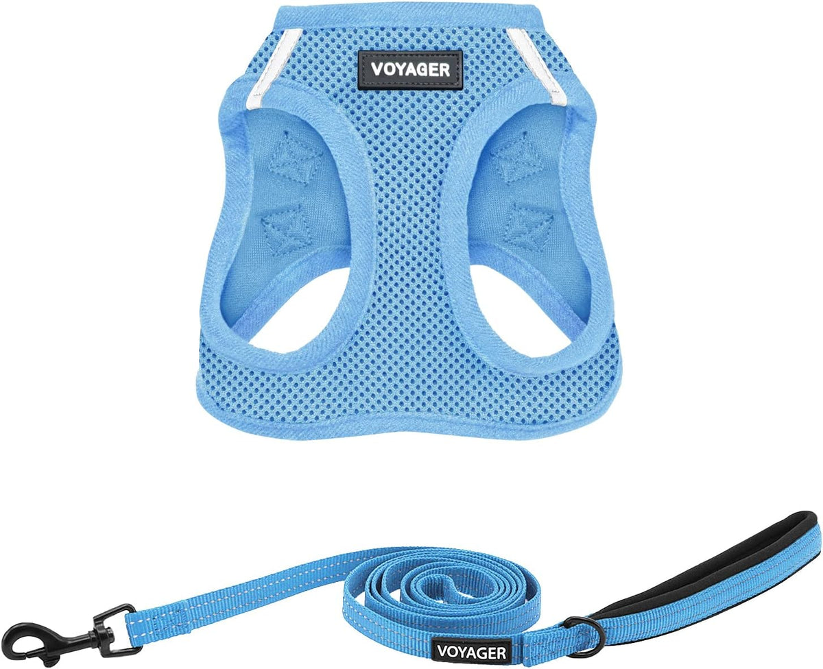 Best Pet Supplies Voyager Step-in Air All Weather Mesh Harness and Reflective Dog 5ft Leash Combo with Neoprene Handle, for Small, Medium and Large Breed Puppies - Baby Blue, XX-Small