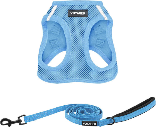 Best Pet Supplies Voyager Step-in Air All Weather Mesh Harness and Reflective Dog 5ft Leash Combo with Neoprene Handle, for Small, Medium and Large Breed Puppies - Baby Blue, XX-Small