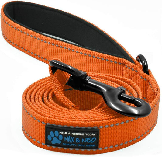 Max and Neo Reflective Nylon Dog Leash - We Donate a Leash to a Dog Rescue for Every One Sold (Teal, 6x1)