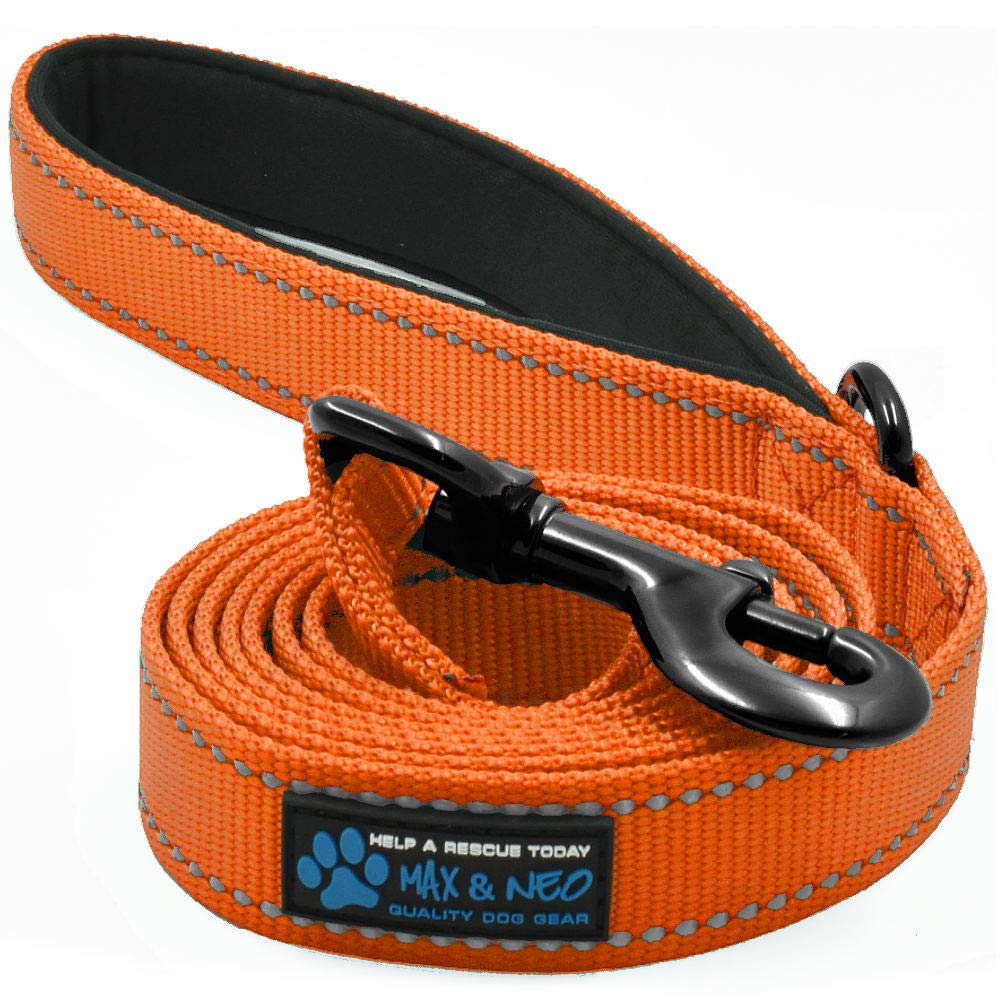 Max and Neo Reflective Nylon Dog Leash - We Donate a Leash to a Dog Rescue for Every One Sold (Teal, 6x1)