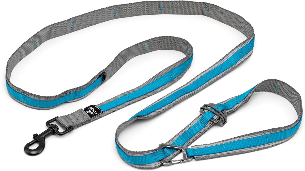Kurgo Quantum 6 in 1 Dog Leash, Blue