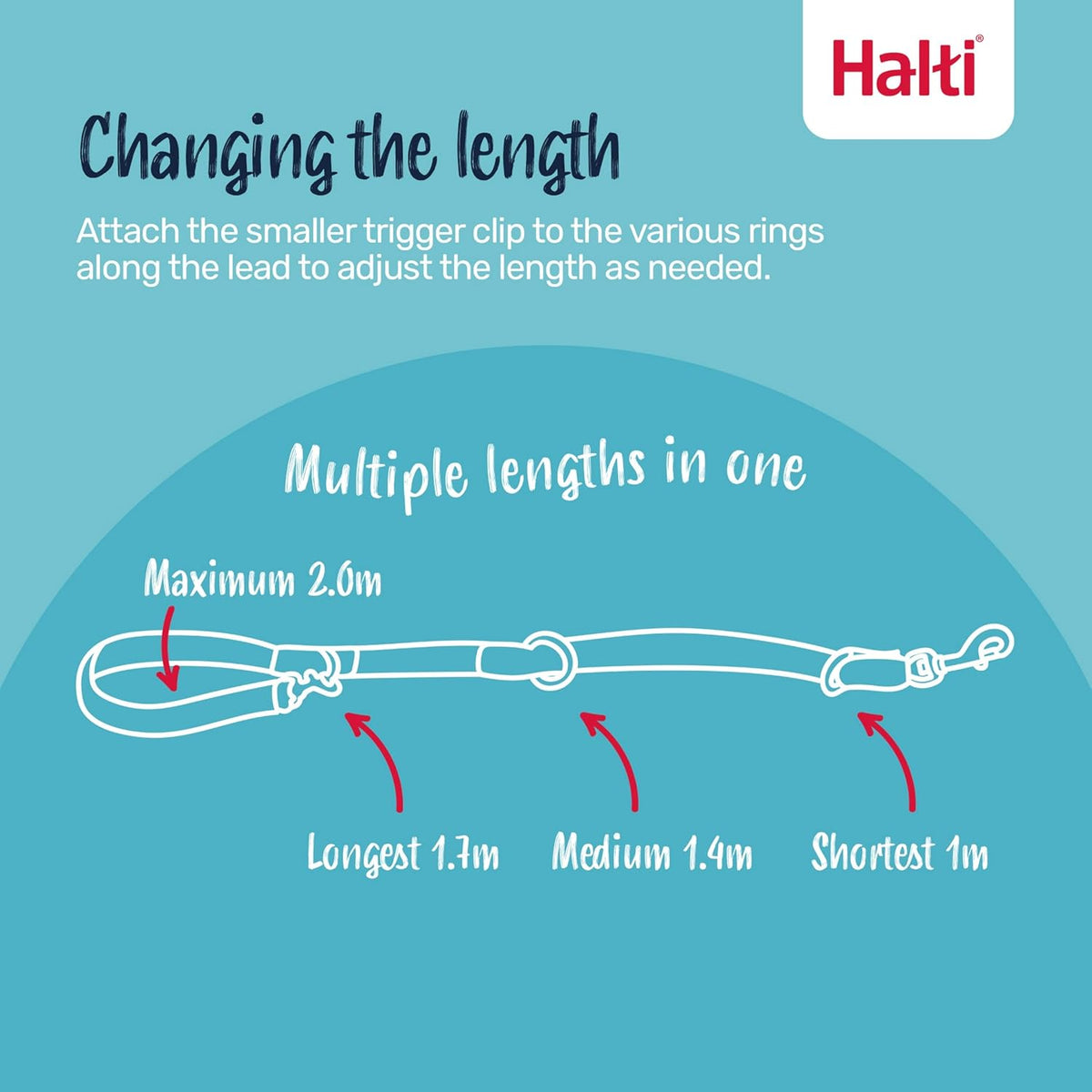 Halti Training Dog Leash | Size L, Black | 2m Length