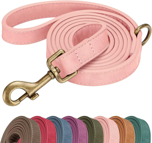 Didog PU Leather Dog Leash for Medium Large Dogs, 3/4in x 5ft, Pink