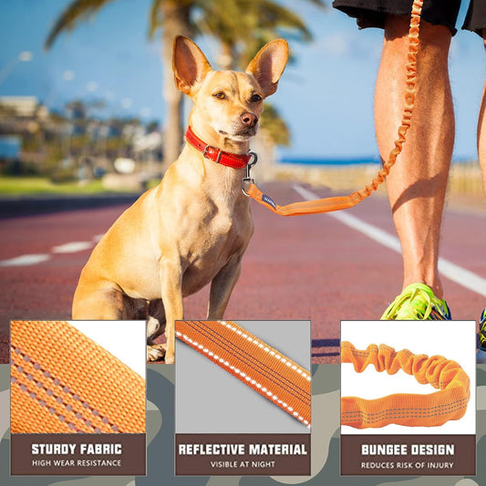 AUROTH Bungee Dog Leash for Large Dogs, No Pull for Shock Absorption