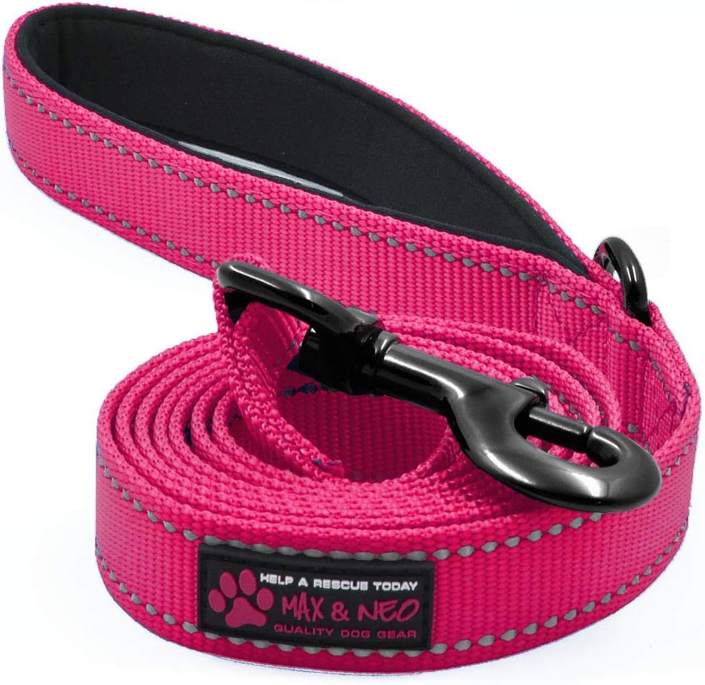 Max and Neo Reflective Nylon Dog Leash - We Donate a Leash to a Dog Rescue for Every One Sold (Teal, 6x1)
