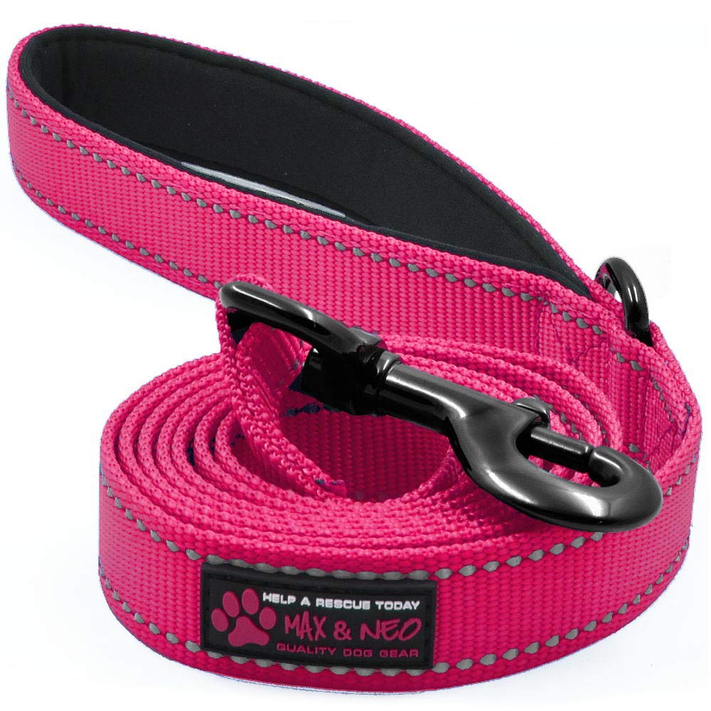 Max and Neo Reflective Nylon Dog Leash - We Donate a Leash to a Dog Rescue for Every One Sold (Teal, 6x1)