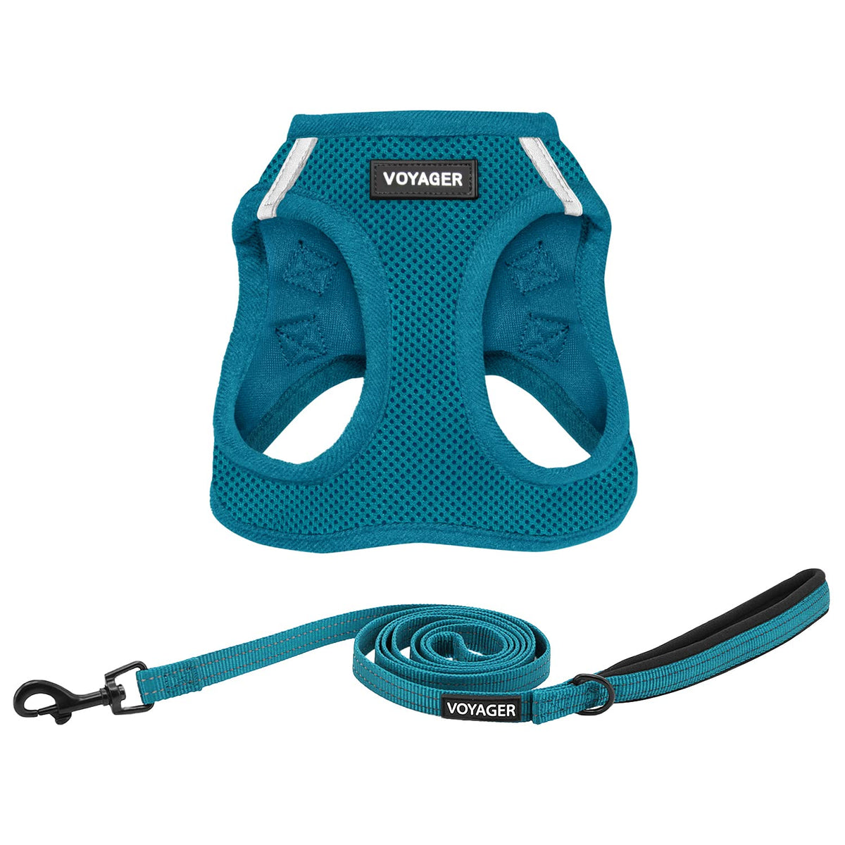 Best Pet Supplies Voyager Step-in Air All Weather Mesh Harness and Reflective Dog 5ft Leash Combo with Neoprene Handle, for Small, Medium and Large Breed Puppies - Baby Blue, XX-Small