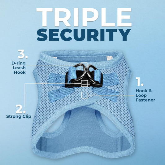 Best Pet Supplies Voyager Step-in Air All Weather Mesh Harness and Reflective Dog 5ft Leash Combo with Neoprene Handle, for Small, Medium and Large Breed Puppies - Baby Blue, XX-Small
