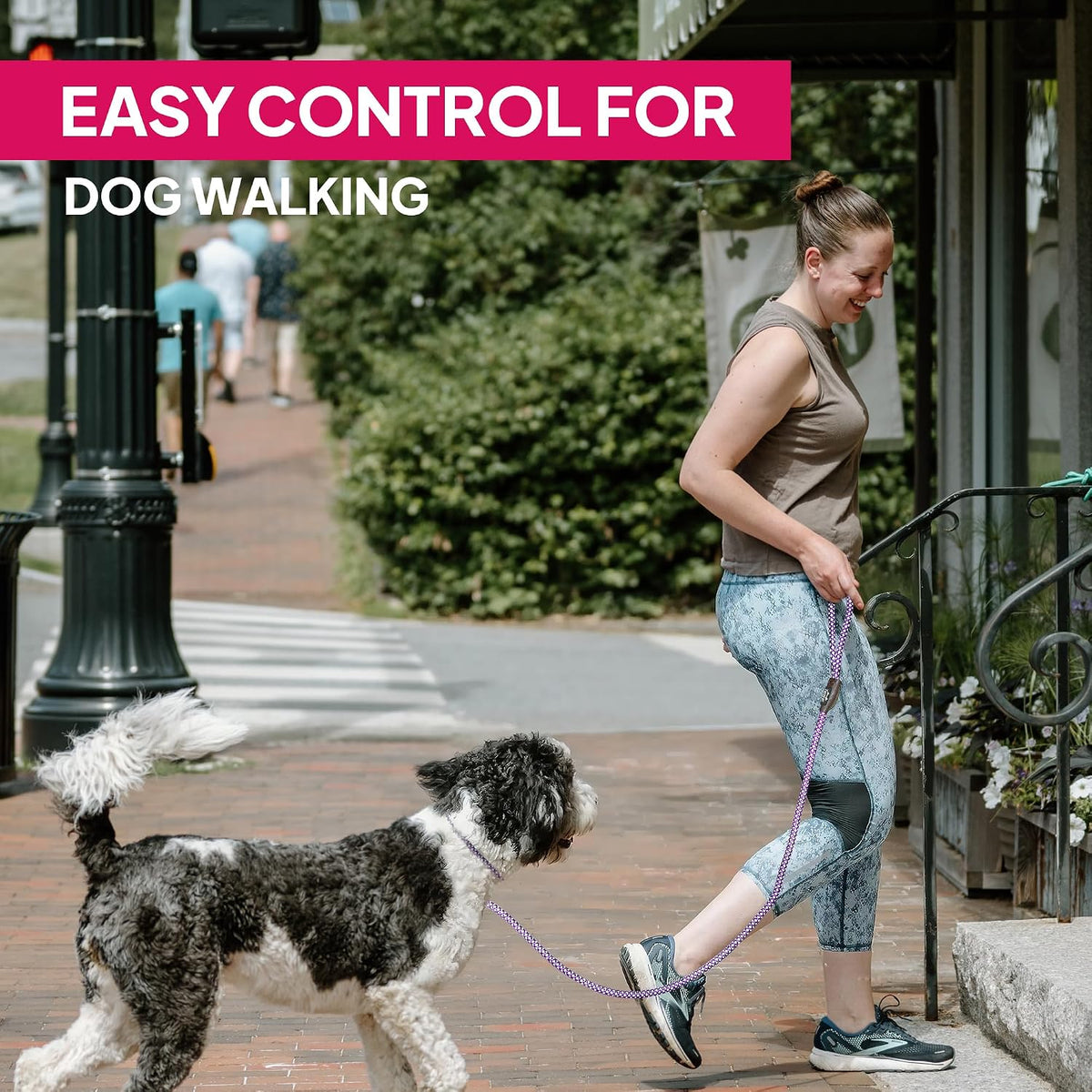 Twoear 6FT Slip Lead Dog Leash, Heavy Duty Slip Leash for Dogs