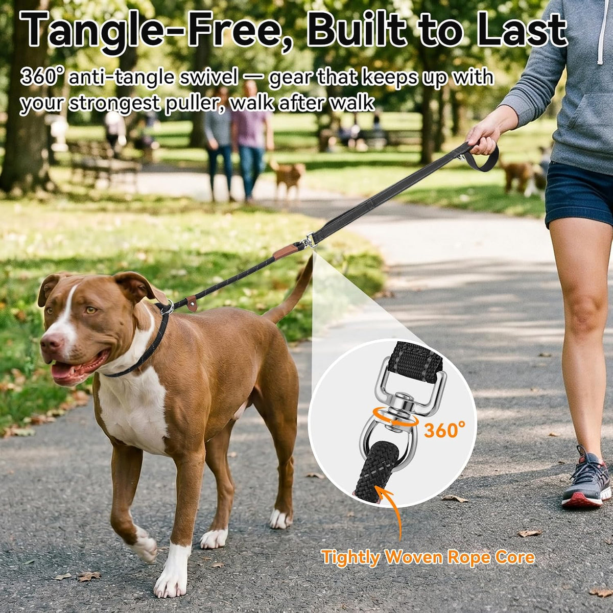 Joytale Slip Lead Dog Leash with Dual Handle, No Pull, Black, 6FT x 3/8"