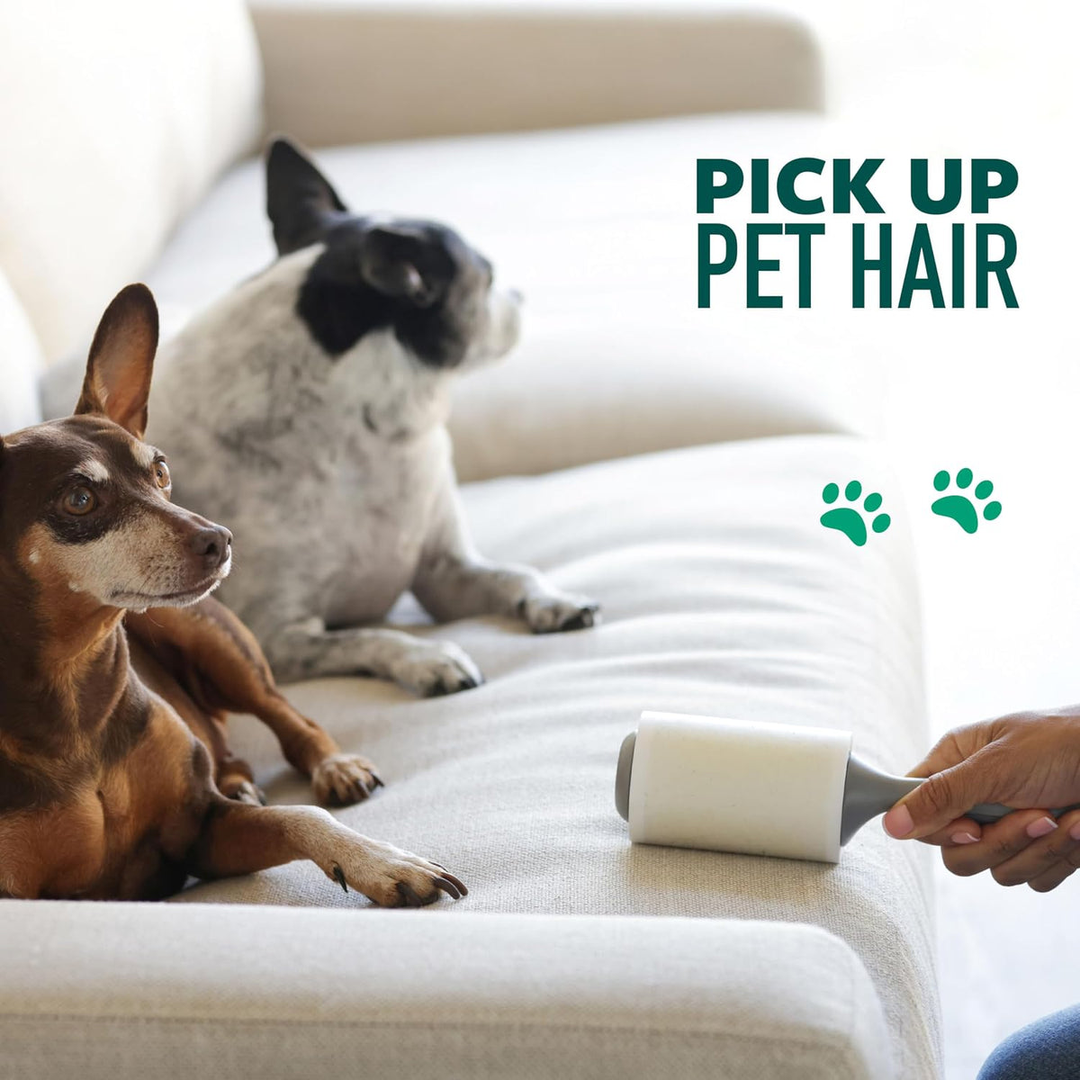 Scotch-Brite Pet Hair Pickup Lint Roller with Handle, 50% Stickier, Fur and Fluff Remover for Clothes Furniture and Pet Beds, 12 Pack, 360 Easy-Tear Sheets Total