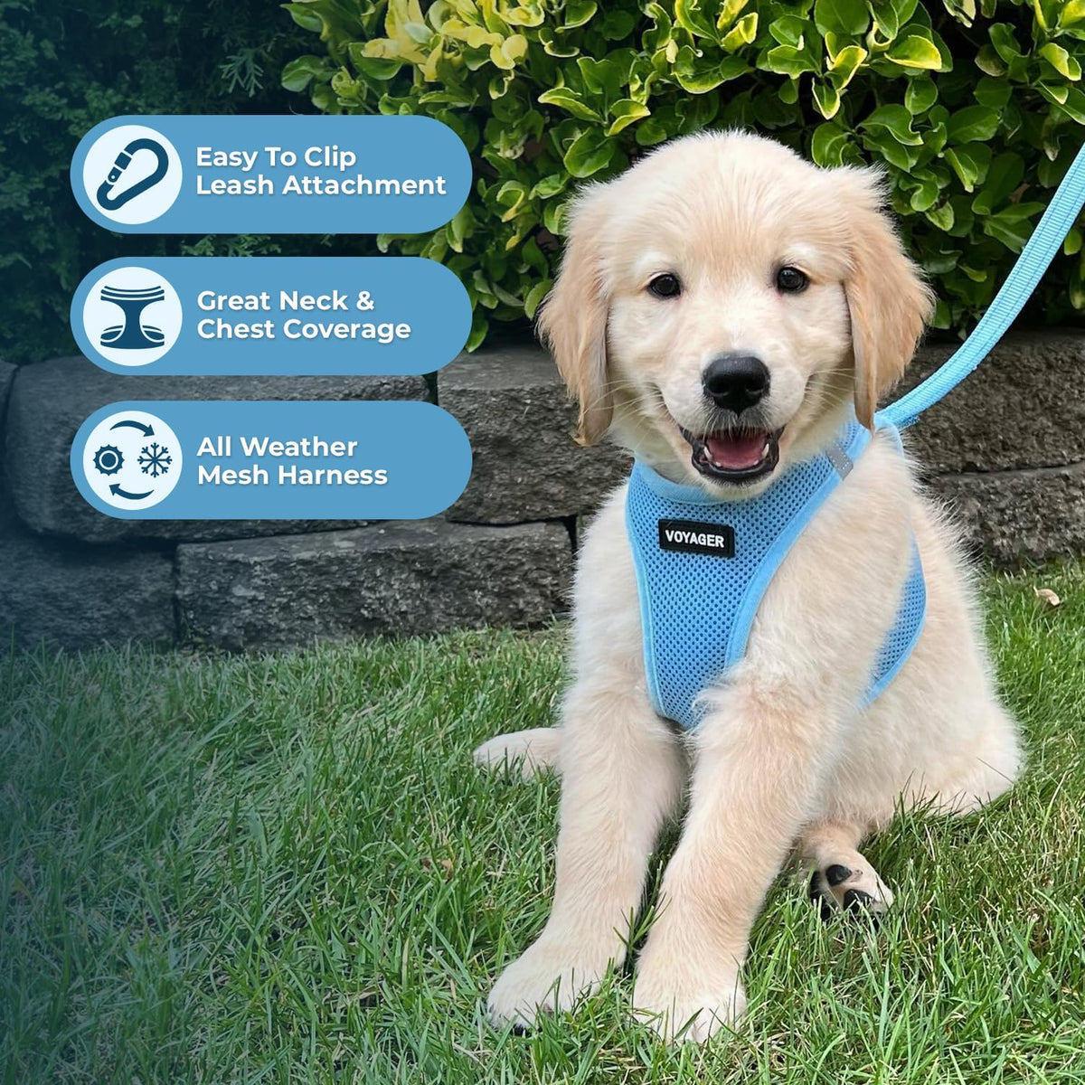Best Pet Supplies Voyager Step-in Air All Weather Mesh Harness and Reflective Dog 5ft Leash Combo with Neoprene Handle, for Small, Medium and Large Breed Puppies - Baby Blue, XX-Small