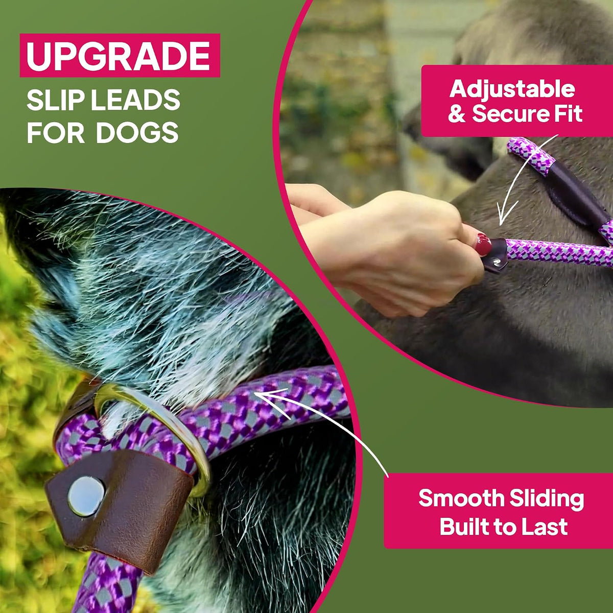 Twoear 6FT Slip Lead Dog Leash, Heavy Duty Slip Leash for Dogs