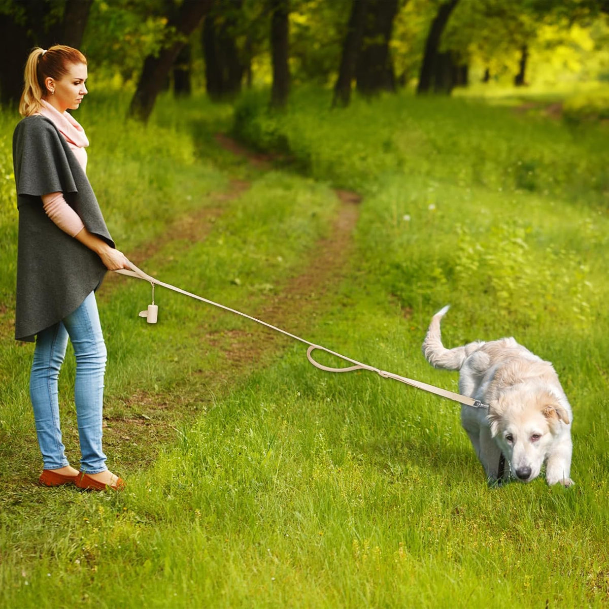 Wisedog Two Handles Dog Leash, Sand Color, S 0.8" x 4.2-5 ft