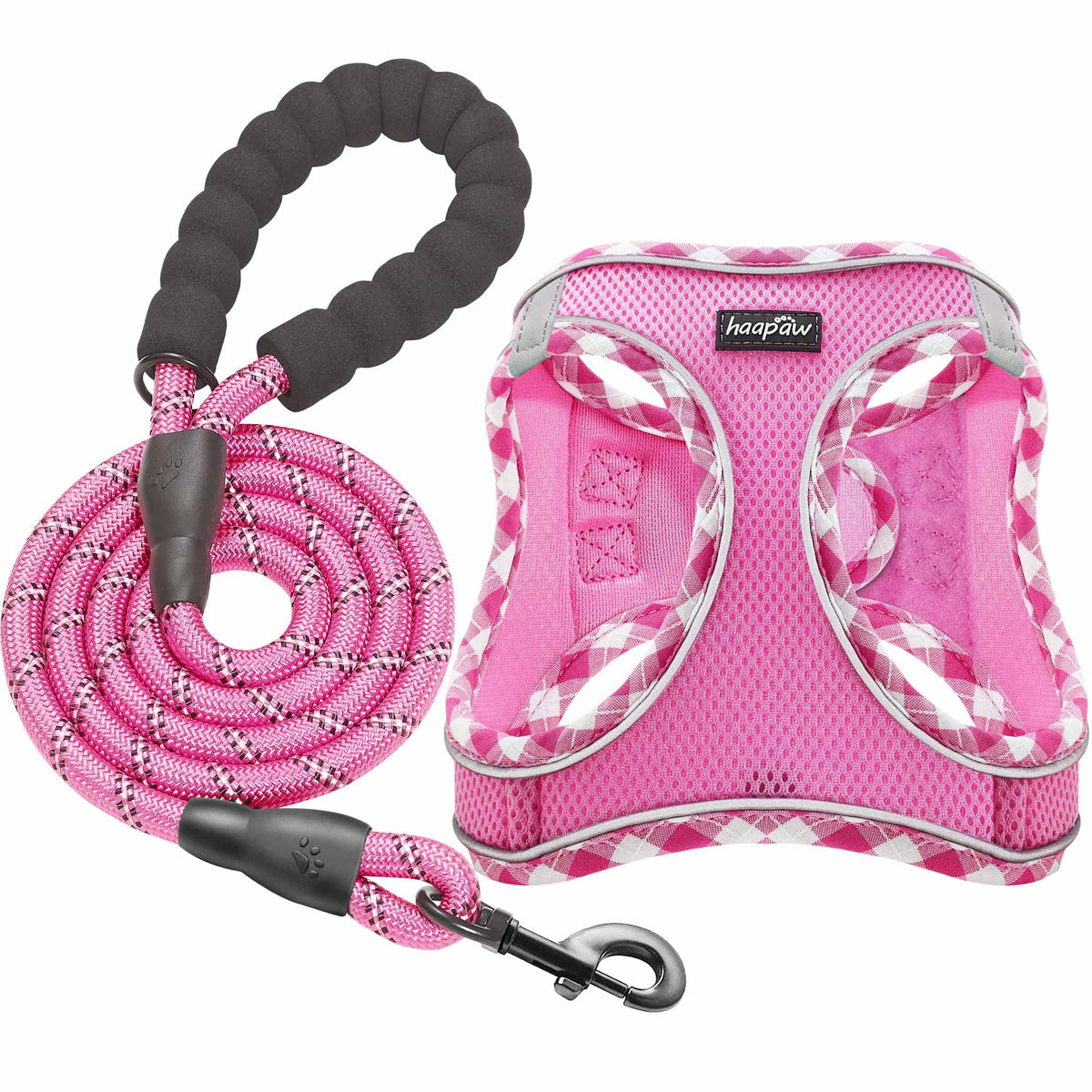 haapaw Dog Harness with Leash Set, No Pull Adjustable Reflective Step-in Puppy Harness with Thickened Padded Vest for Extra-Small/Small Medium Dogs