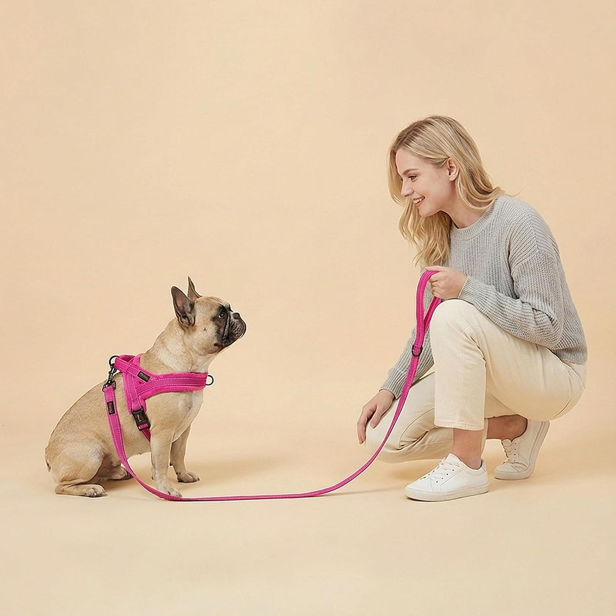 Didog 6FT Reflective Dog Leash for Small Medium Dogs, 5/8" Width, Hot Pink