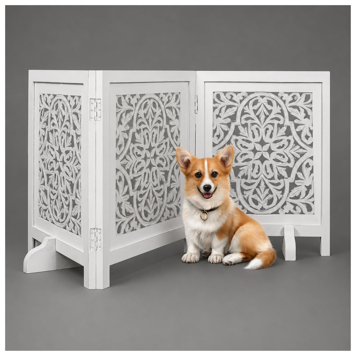 Dog Gate Freestanding 60x24, Burnt Daisy, Folding 3 Panel