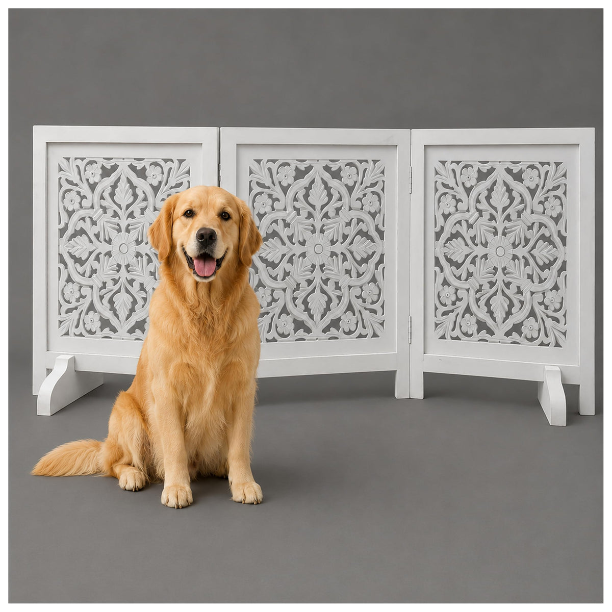 Dog Gate Freestanding 60x24, Burnt Daisy, Folding 3 Panel