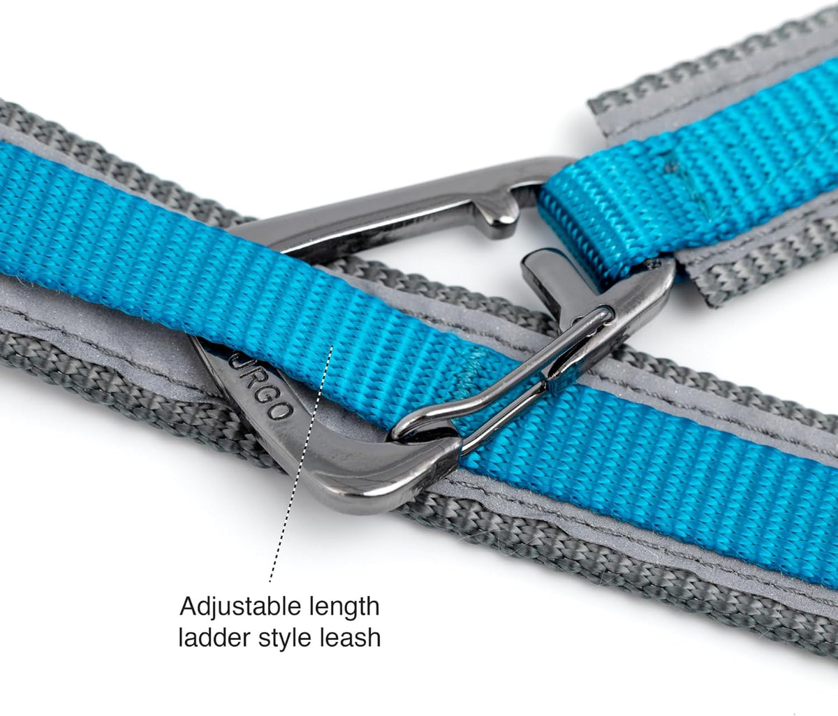 Kurgo Quantum 6 in 1 Dog Leash, Blue