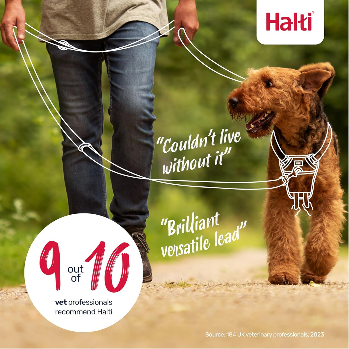Halti Training Dog Leash | Size L, Black | 2m Length