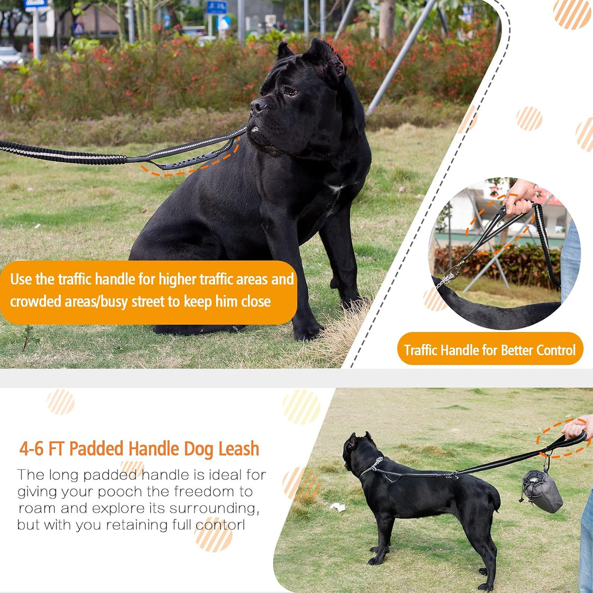 Heavy Duty Bungee Dog Leash with Locking Carabiner for Large Dogs