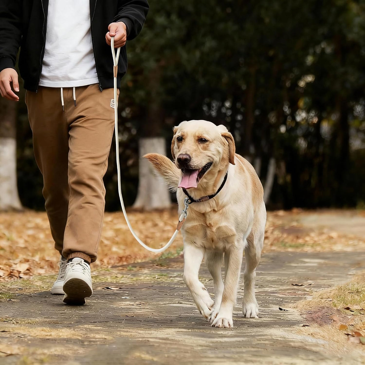 Mile High Life Dog Leash with Genuine Leather-Wrapped Ends, 4/5/6FT
