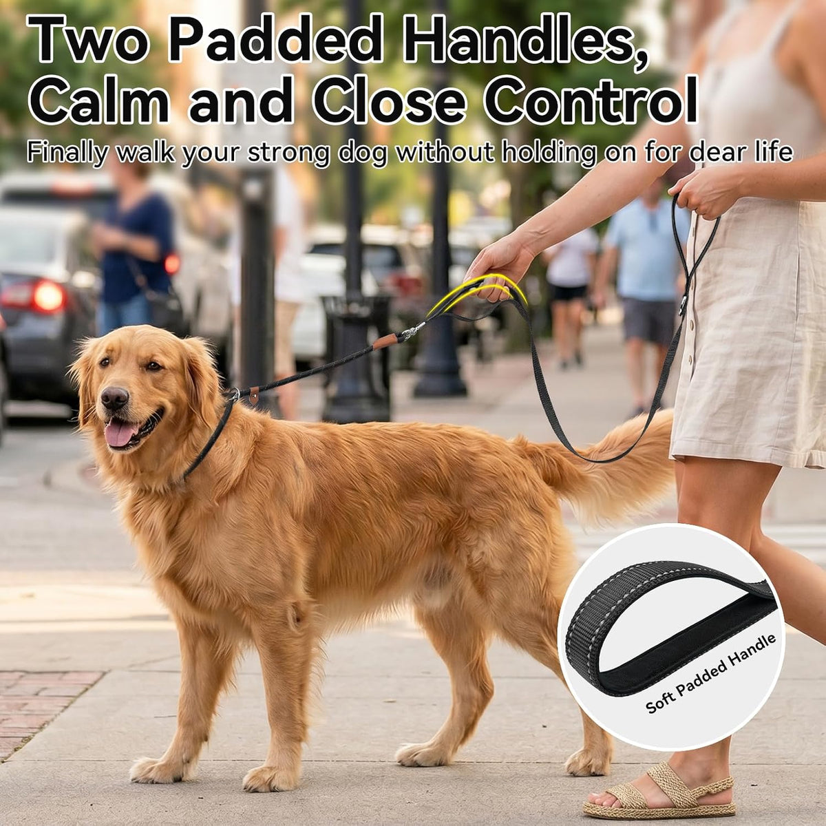 Joytale Slip Lead Dog Leash with Dual Handle, No Pull, Black, 6FT x 3/8"