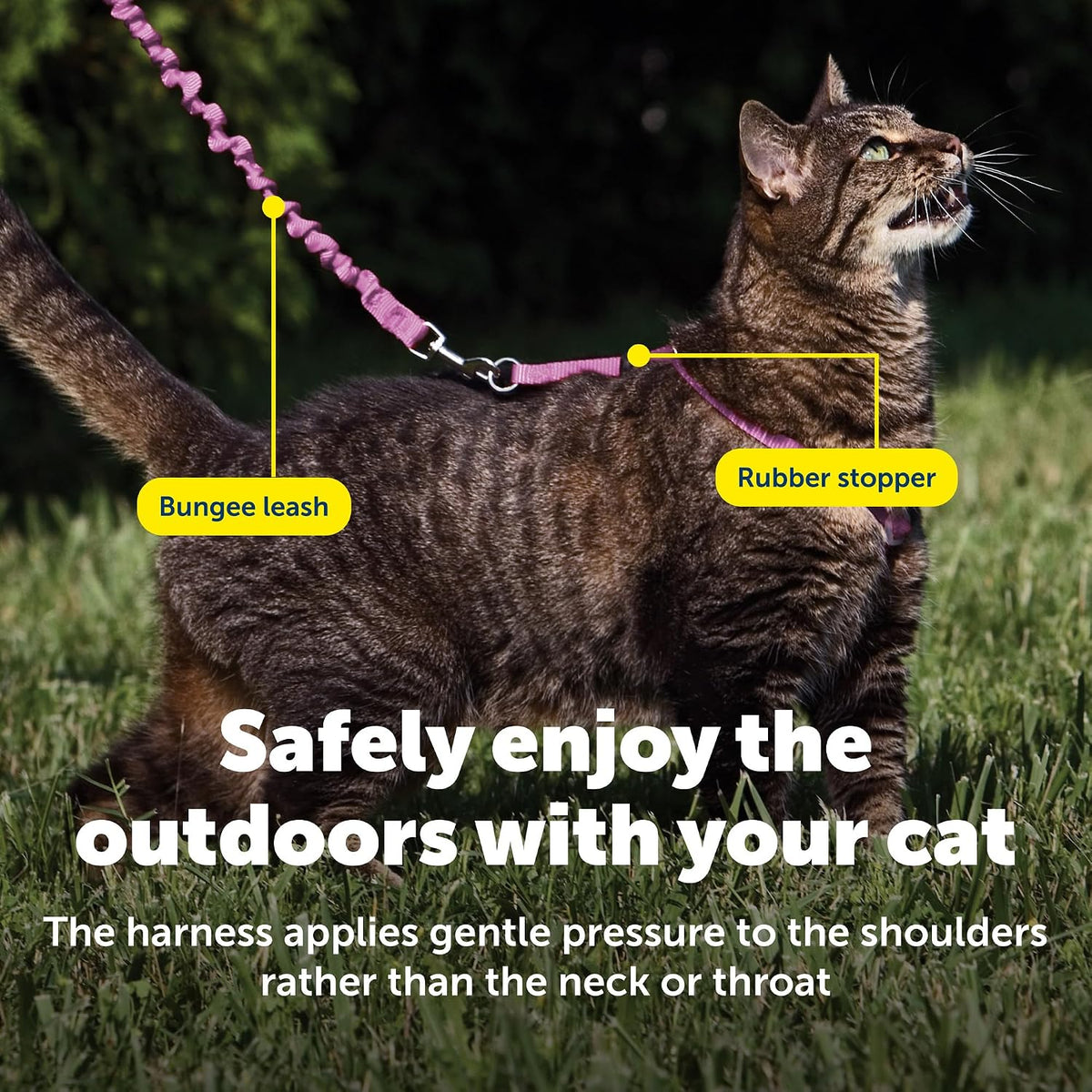 PetSafe Come with Me Kitty Harness and Bungee Cat Leash, Dusty Rose, Medium