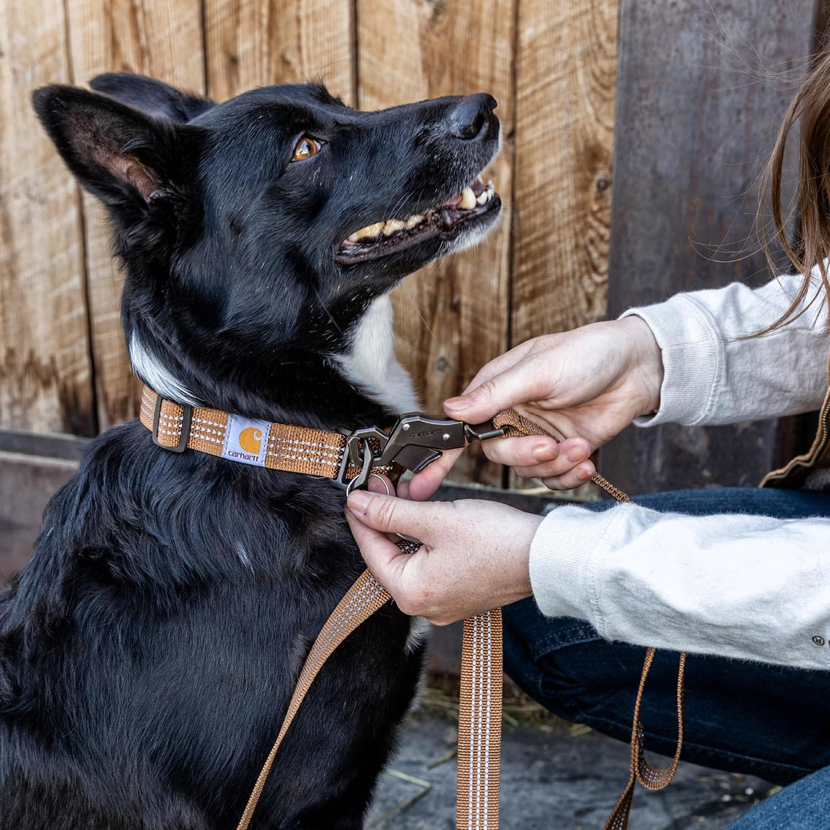 Carhartt Nylon Dual Handle Dog Leash Carhartt Brown L