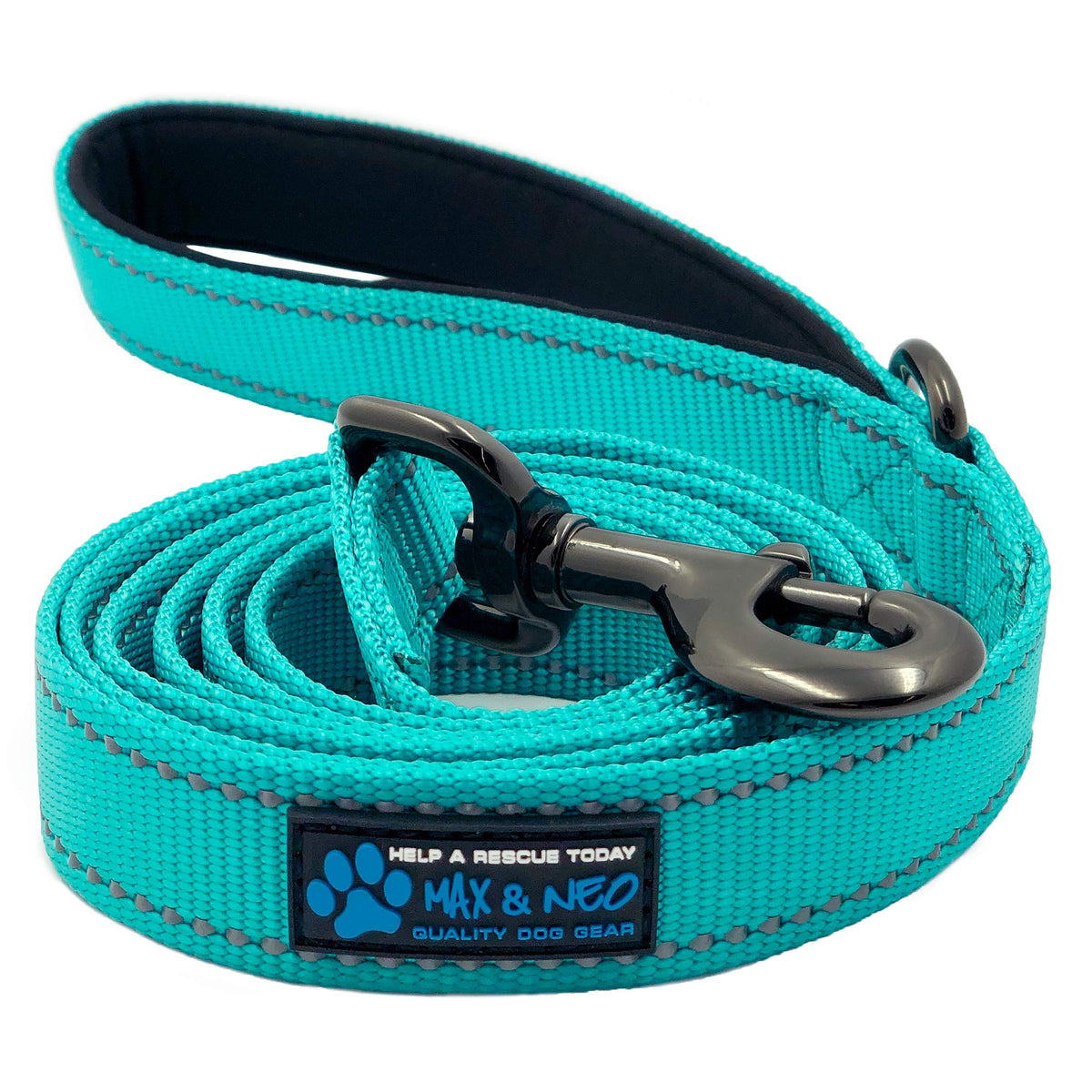 Max and Neo Reflective Nylon Dog Leash - We Donate a Leash to a Dog Rescue for Every One Sold (Teal, 6x1)